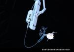 Visual Servoing for Flexible Endoscopic Robot