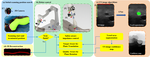 Fully Robotized 3D Ultrasound Image Acquisition for Artery